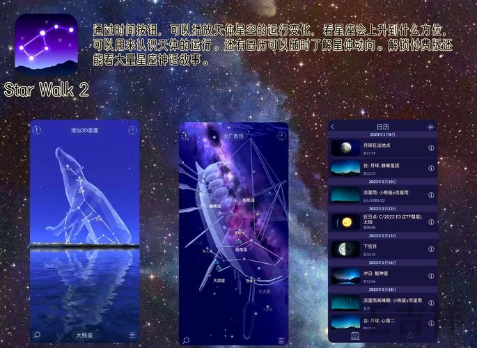 星空手机APP官方下载入口与安装指南