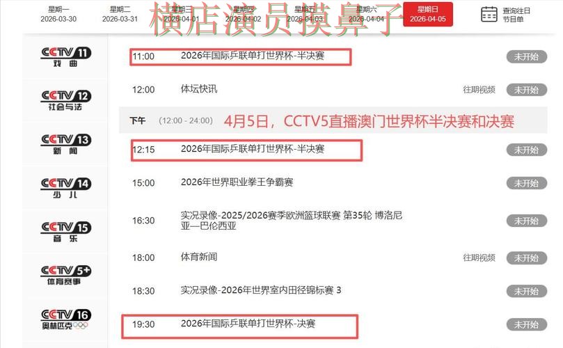 世界杯全球总决赛来临，世界杯投注入口真实体验+直播与平台选择揭秘